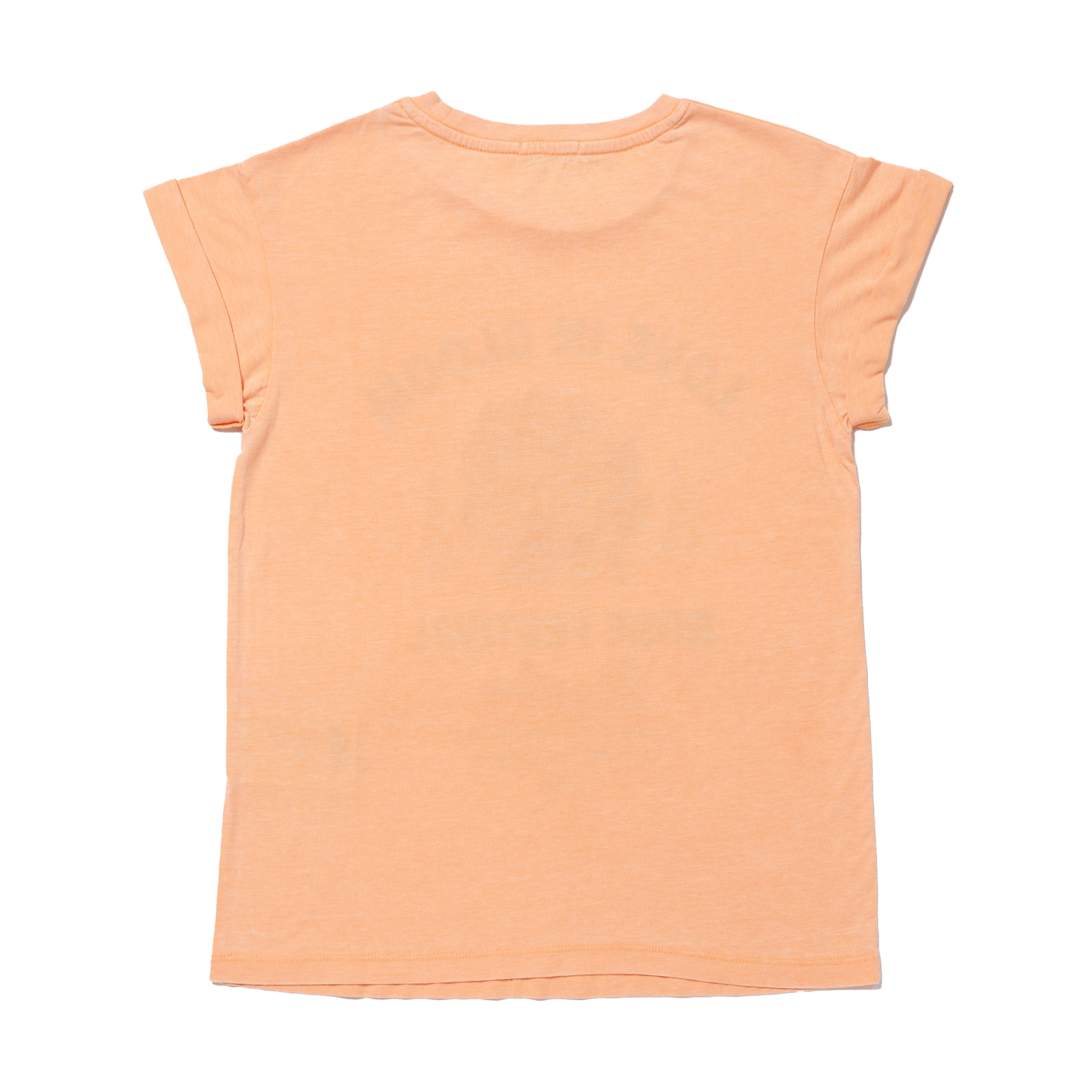 バーンアウトジャージーローズプリントT 詳細画像 パパイヤ 2